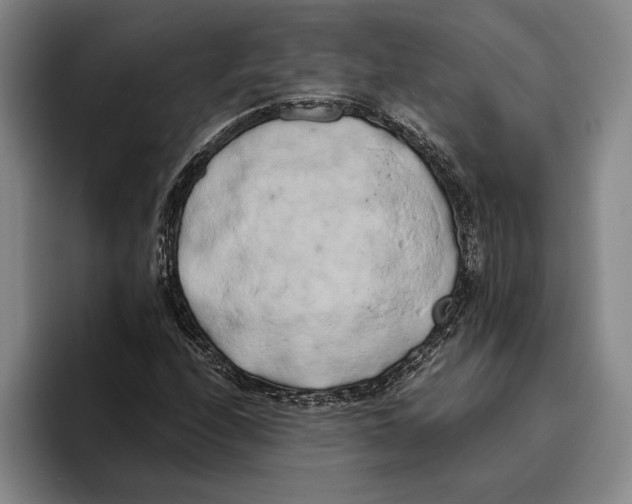 X0000096141208200802151327