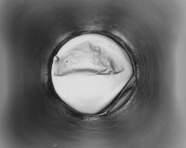 X0000096141213200802151327
