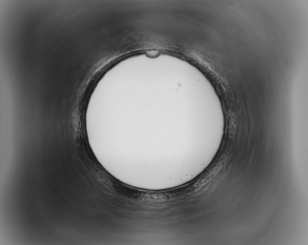 X0000096141215200802151327