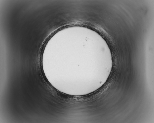 X0000096141216200802151327