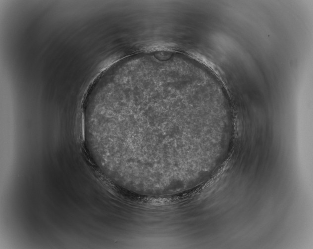 X0000096141219200802151327