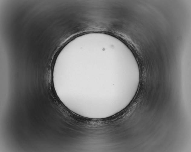 X0000096141220200802151327