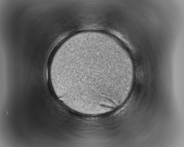 X0000096141221200802151327