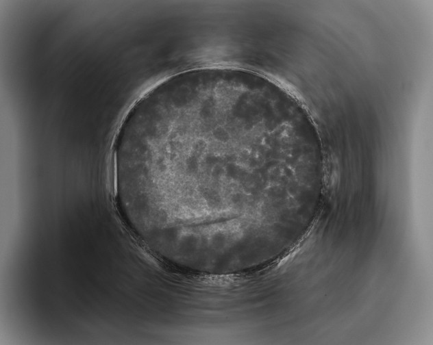X0000096141223200802151327