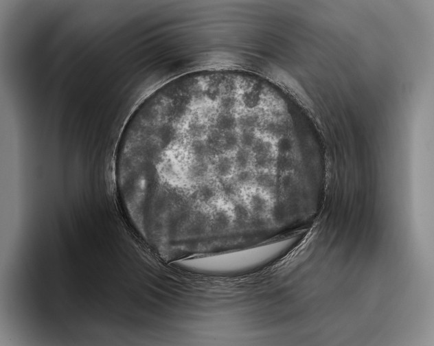 X0000096141226200802151327