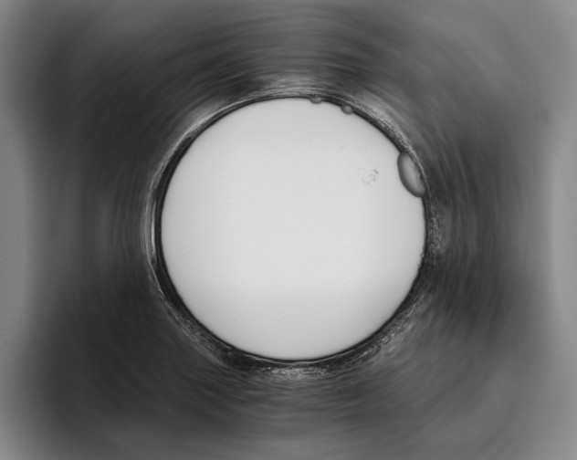X0000096141227200802151327