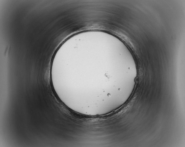 X0000096141228200802151327