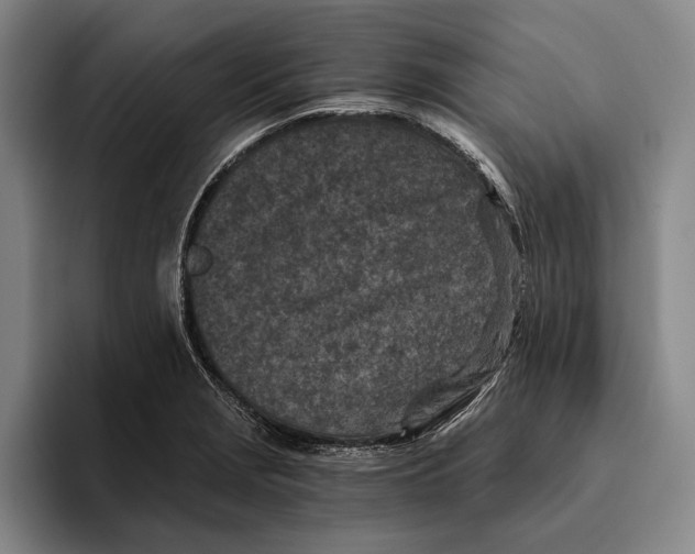 X0000096141229200802151327