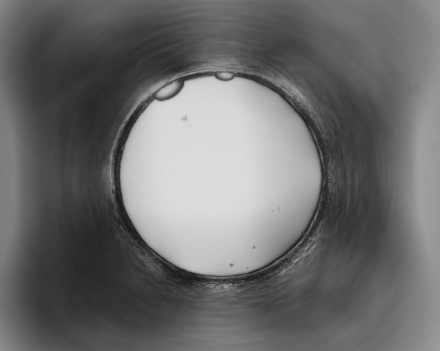 X0000096141230200802151327