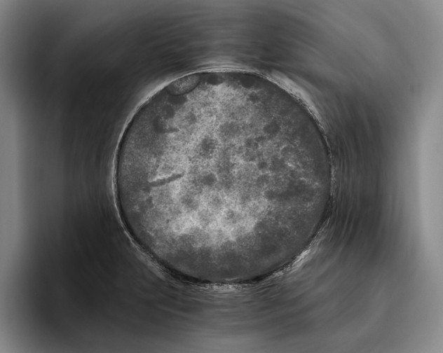 X0000096141231200802151327