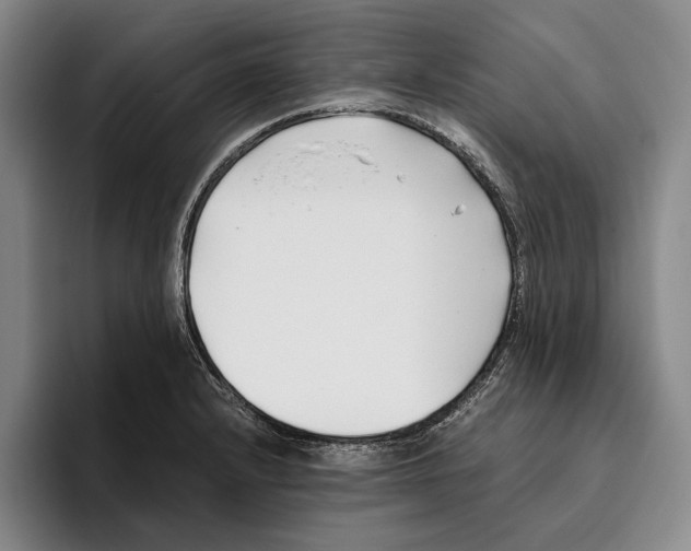 X0000096141232200802151327