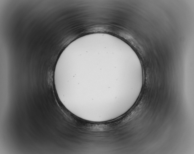 X0000096141233200802151327
