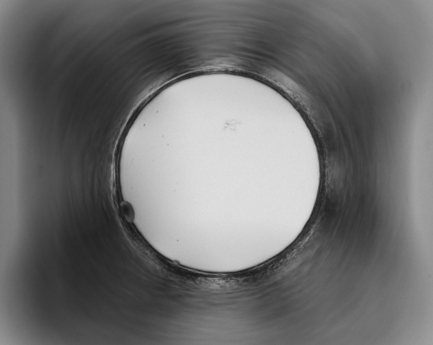 X0000096141234200802151327