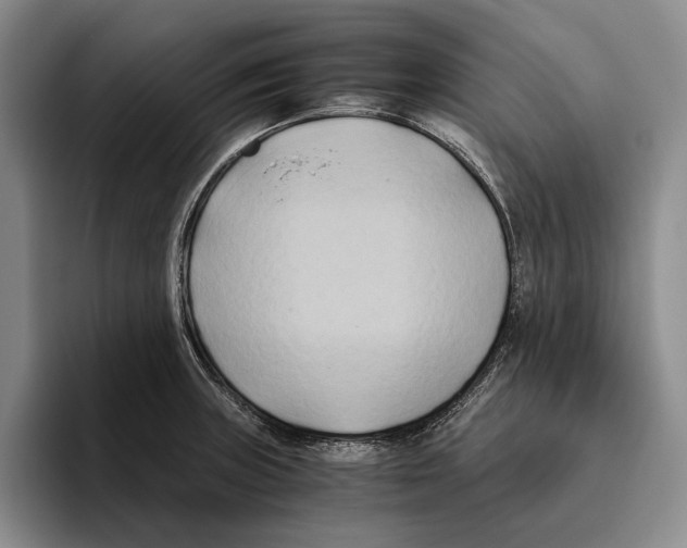 X0000096141235200802151327