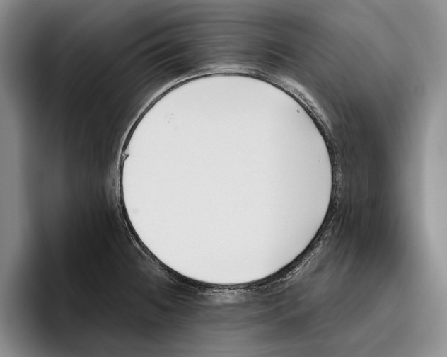 X0000096141236200802151327