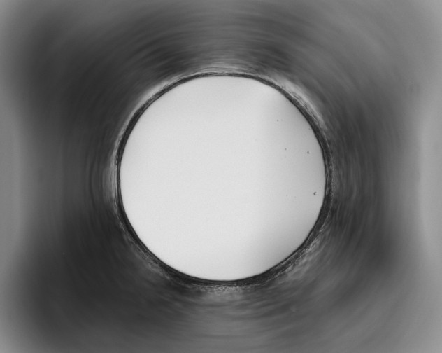 X0000096141238200802151327