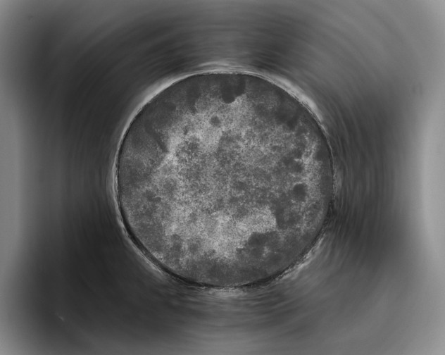 X0000096141239200802151327