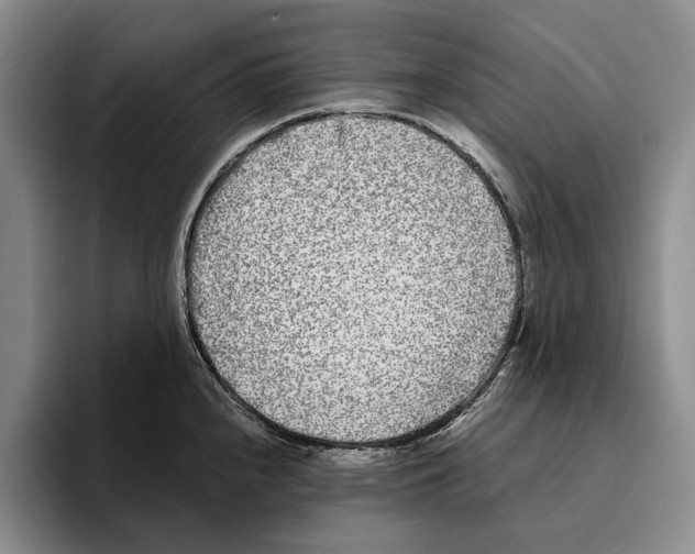 X0000096141240200802151327