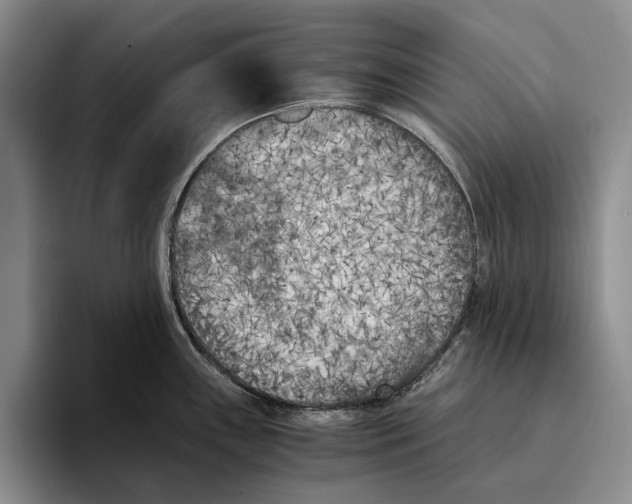 X0000096141243200802151327