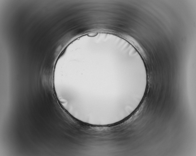 X0000096141244200802151328