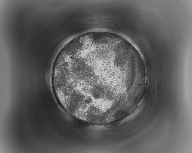 X0000096141245200802151328