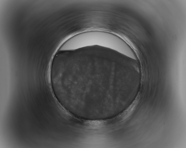 X0000096141246200802151328
