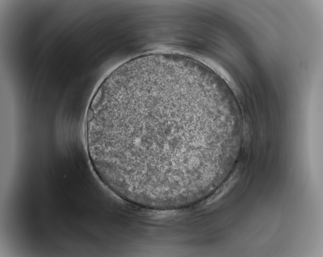 X0000096141247200802151328