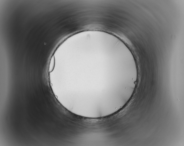 X0000096141248200802151328