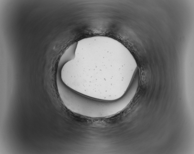 X0000096141249200802151327