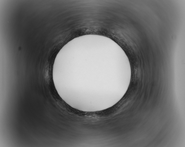 X0000096141250200802151327