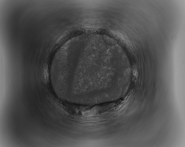 X0000096141252200802151327