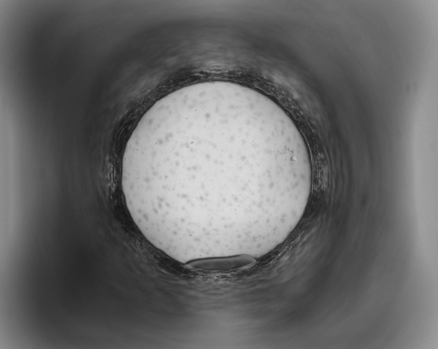 X0000096141253200802151327