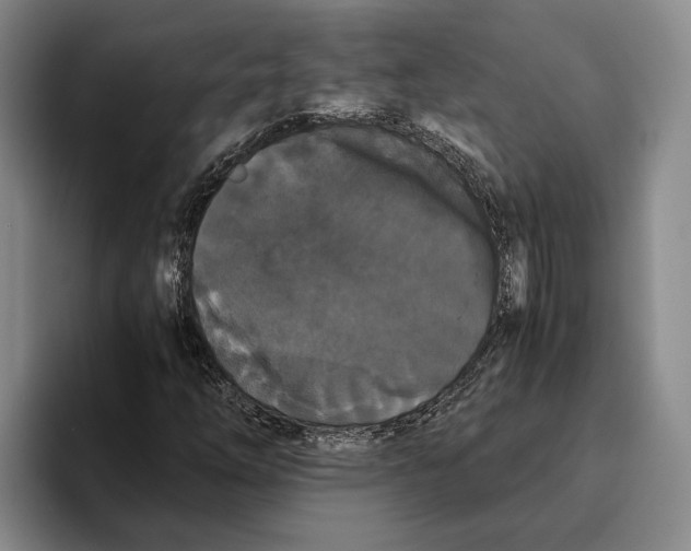 X0000096141254200802151327