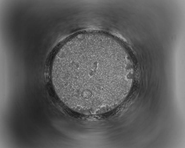 X0000096141255200802151327