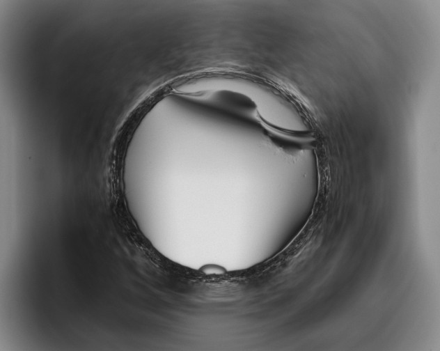 X0000096141256200802151327