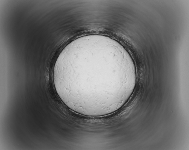 X0000096141257200802151327