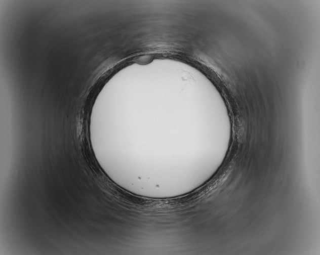 X0000096141259200802151327