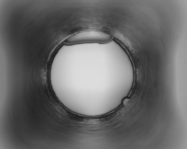 X0000096141260200802151327