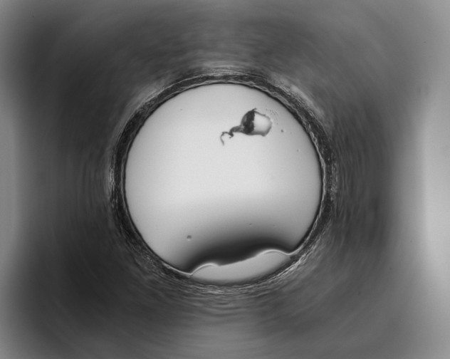 X0000096141261200802151327