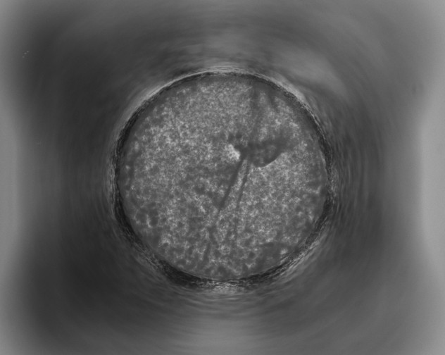 X0000096141263200802151327