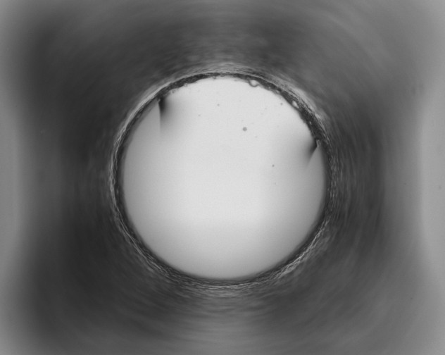 X0000096141264200802151327