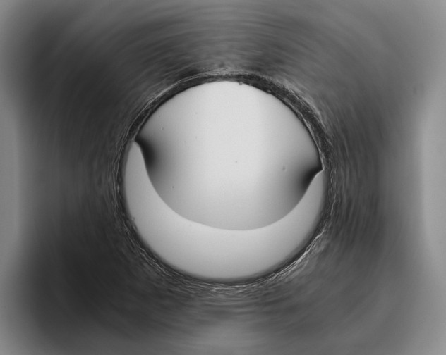 X0000096141265200802151327