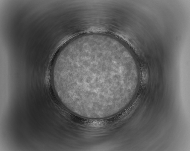 X0000096141266200802151327