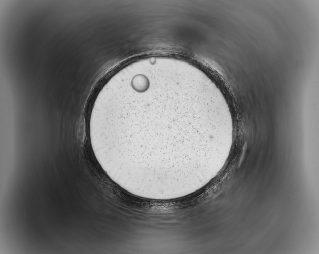 X0000096141267200802151327