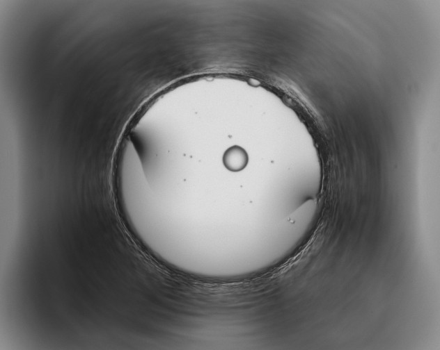 X0000096141268200802151327