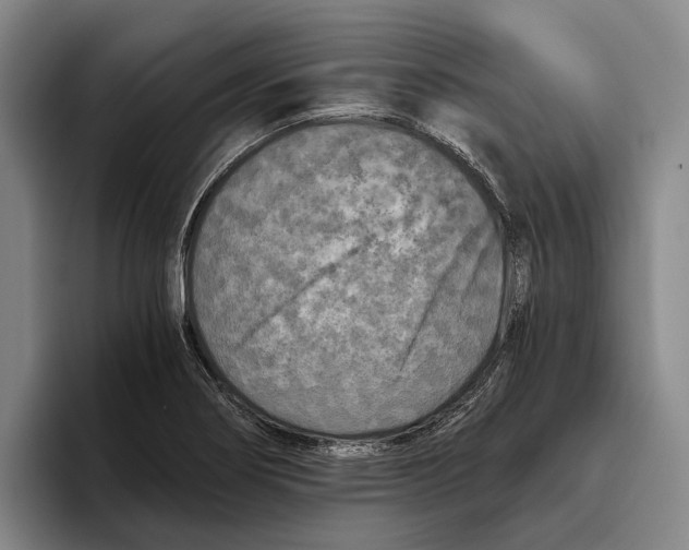 X0000096141274200802151327