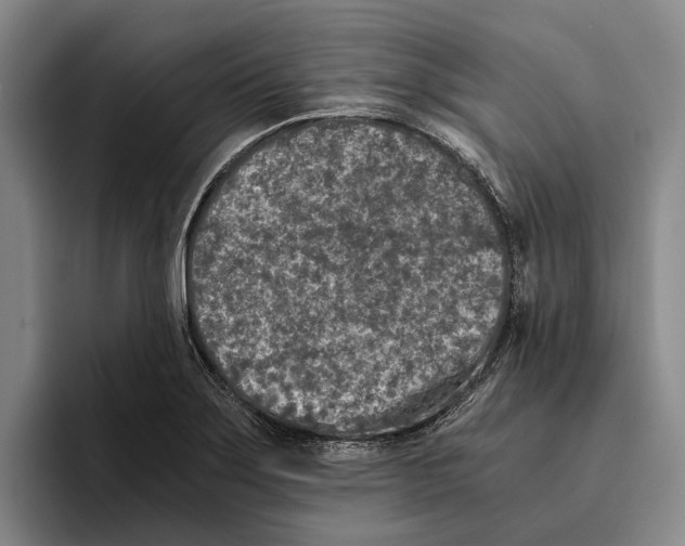 X0000096141275200802151327