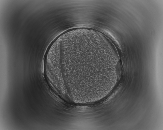 X0000096141276200802151327