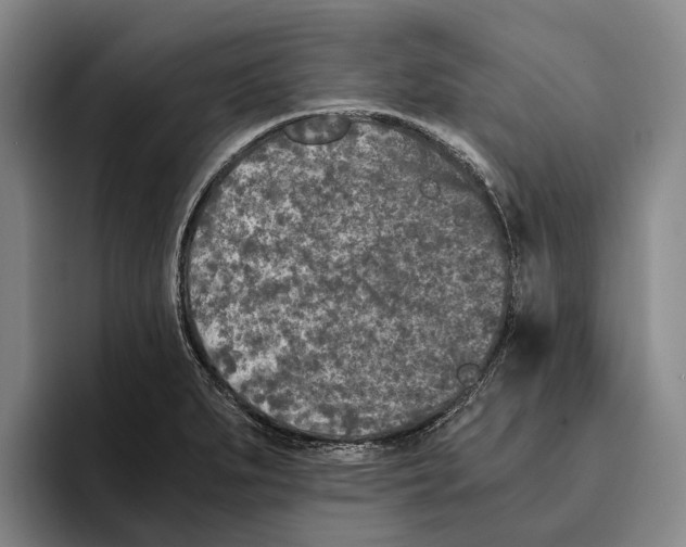X0000096141279200802151327