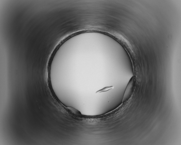 X0000096141280200802151327